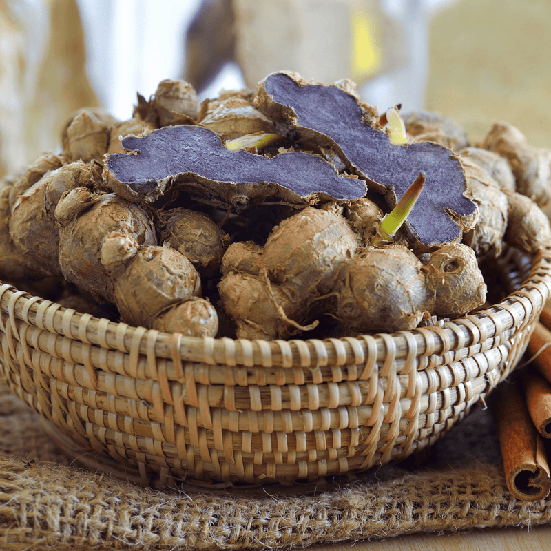 Estate Reserve: Black Krachai Vitality Infusion