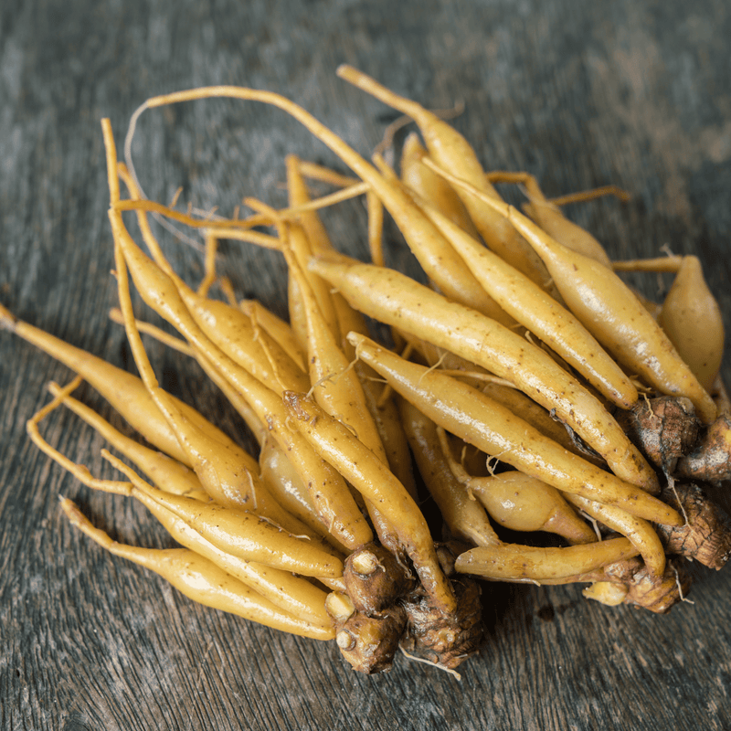 The Deep Earth Elixir: Wild Krachai & Galangal Vitality Kit
