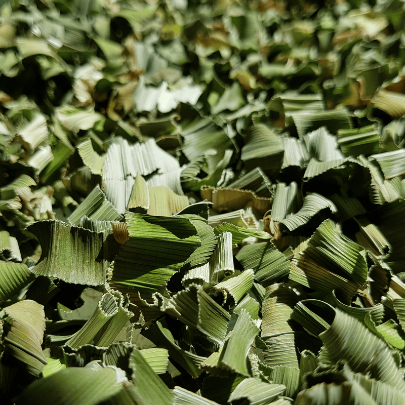 Estate Reserve: Black Krachai Vitality Infusion