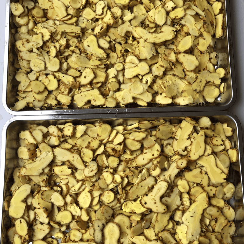 The Deep Earth Elixir: Wild Krachai & Galangal Vitality Kit