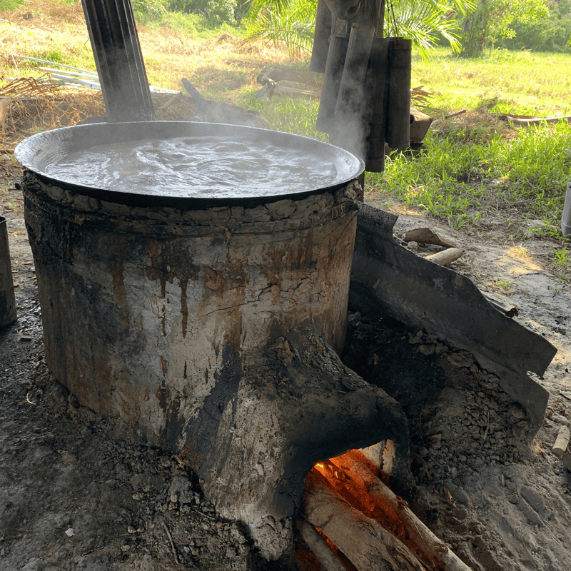 Premium Palmyra Palm Sugar (Unrefined)