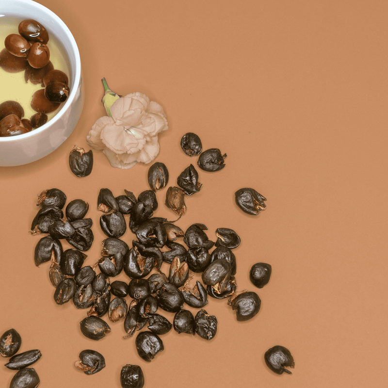 Nine North Lake Sun-Dried Cascara Superfood Tea