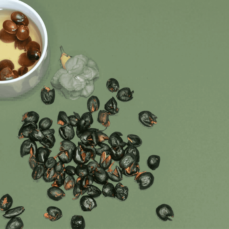 Pandan & Cascara Restorative Brew