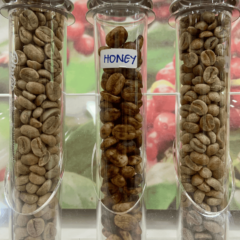 Raw Green Coffee Beans: Specialty Fine Robusta (Unroasted)