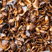 A close-up overhead shot of dried cascara. The textured, amber and dark brown coffee cherry husks are scattered across a light surface, ready to be brewed into tea.