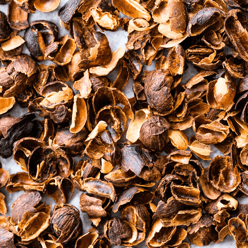 A close-up overhead shot of dried cascara. The textured, amber and dark brown coffee cherry husks are scattered across a light surface, ready to be brewed into tea.
