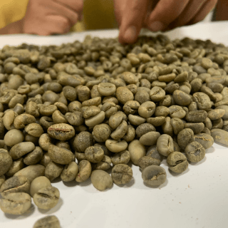 Raw Green Coffee Beans: Specialty Fine Robusta (Unroasted)