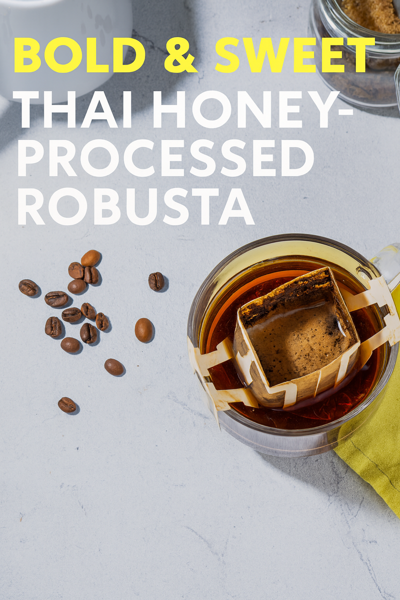Premium Fine Robusta Drip Coffee (10.6g Cafe-Sized Pours)