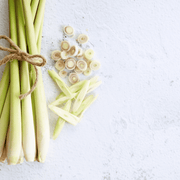 A bundle of fresh, raw lemongrass stalks tied with rustic twine, lying next to freshly sliced circular and diagonal lemongrass pieces on a textured white surface.
